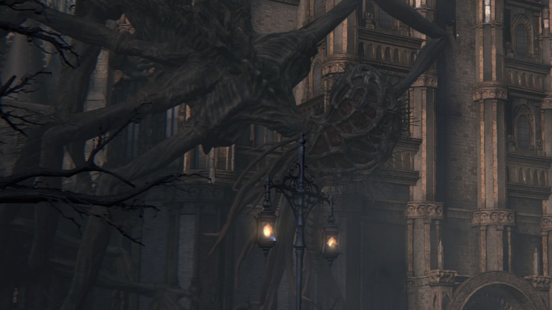 Amygdala Bloodborne